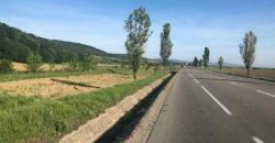 Teren intravilan 10037 mp,Racaciuni la E 85,zona deosebita