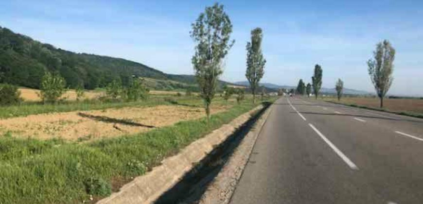 Teren intravilan 10037 mp,Racaciuni la E 85,zona deosebita