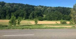 Teren intravilan 10037 mp,Racaciuni la E 85,zona deosebita