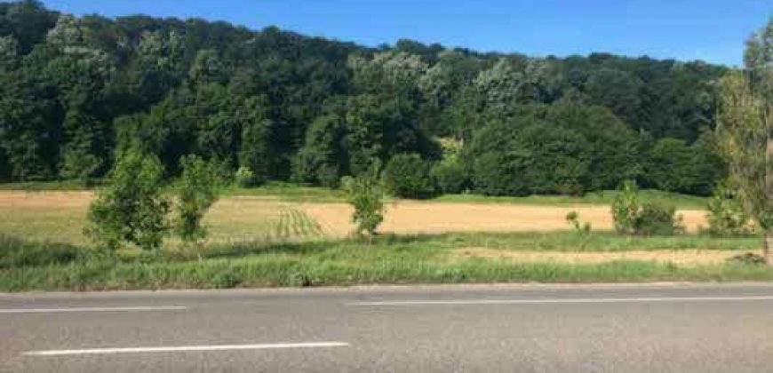 Teren intravilan 10037 mp,Racaciuni la E 85,zona deosebita