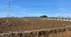 Teren extravilan 5500 mp,Margineni-Fantanele