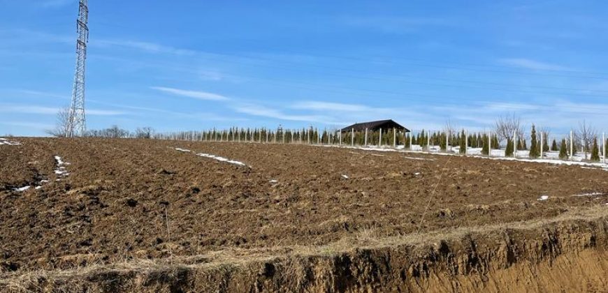 Teren extravilan 5500 mp,Margineni-Fantanele