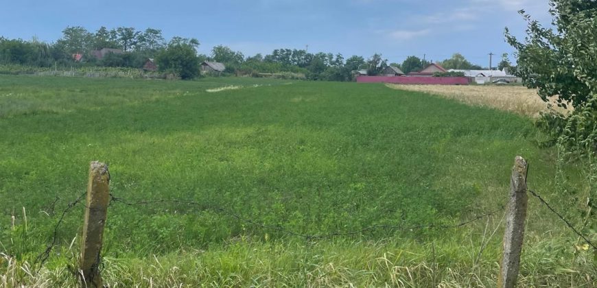 Teren intravilan Itesti 3840 mp