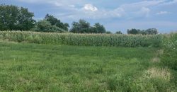 Teren intravilan Itesti 3840 mp