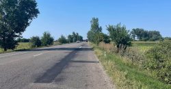 Teren extravilan 4900 mp,Filipesti,la E85