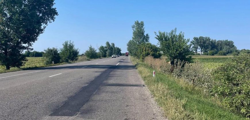 Teren extravilan 4900 mp,Filipesti,la E85