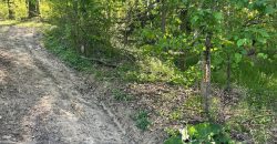 Teren extravilan Corbu-Trebes,500 si 1300 mp,ideal cabana