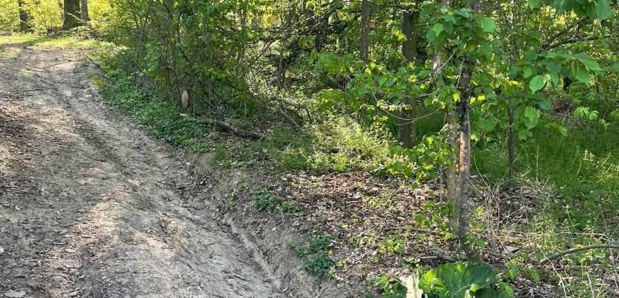 Teren extravilan Corbu-Trebes,500 si 1300 mp,ideal cabana