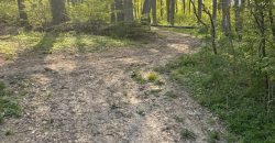 Teren extravilan Corbu-Trebes,500 si 1300 mp,ideal cabana