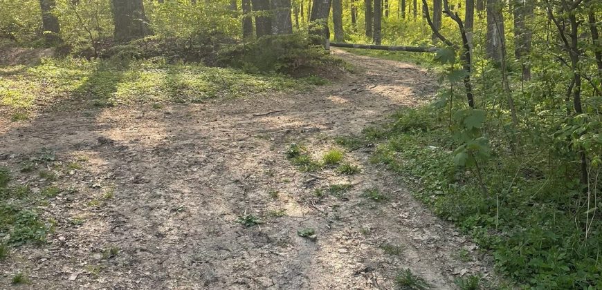 Teren extravilan Corbu-Trebes,500 si 1300 mp,ideal cabana