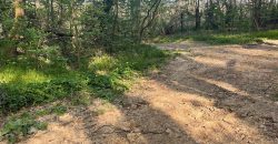 Teren extravilan Corbu-Trebes,500 si 1300 mp,ideal cabana