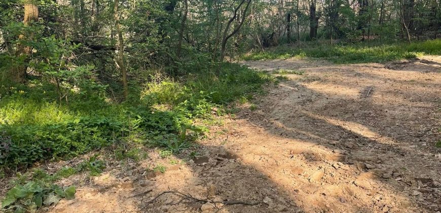 Teren extravilan Corbu-Trebes,500 si 1300 mp,ideal cabana