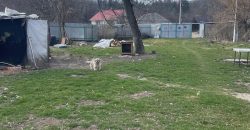 Casa si teren 2700 mp Crihan-Magura