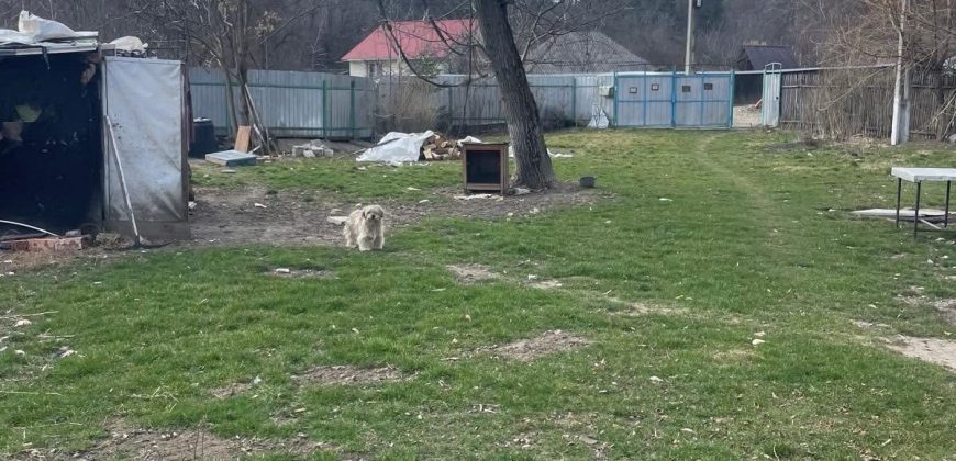 Casa si teren 2700 mp Crihan-Magura