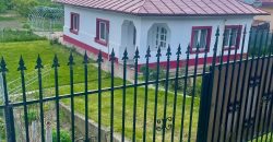 Casa parter,centru -Margineni,teren 1366 mp